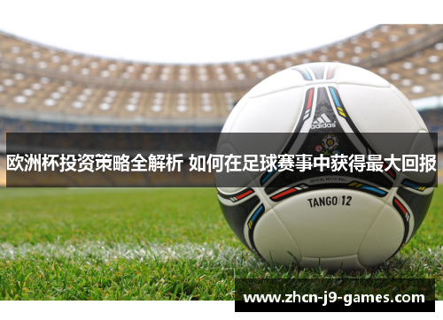 欧洲杯投资策略全解析 如何在足球赛事中获得最大回报